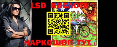 шишки Будённовск