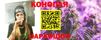 шишки Будённовск
