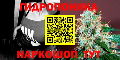 spice Бузулук