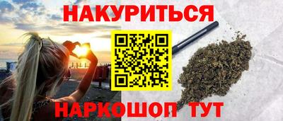 шишки Будённовск