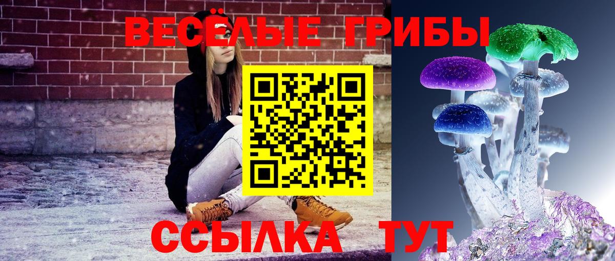 Псилоцибиновые грибы мухоморы Люберцы