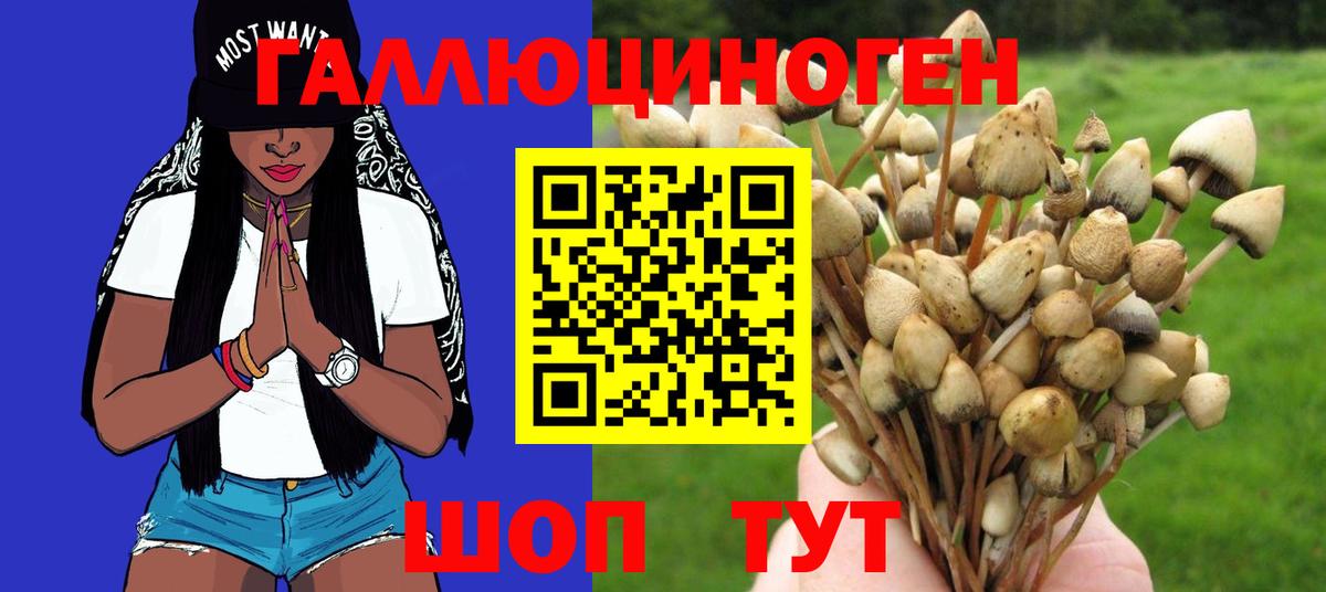 Псилоцибиновые грибы Psilocybine cubensis  Вход с VPN  сколько стоит  Люберцы 